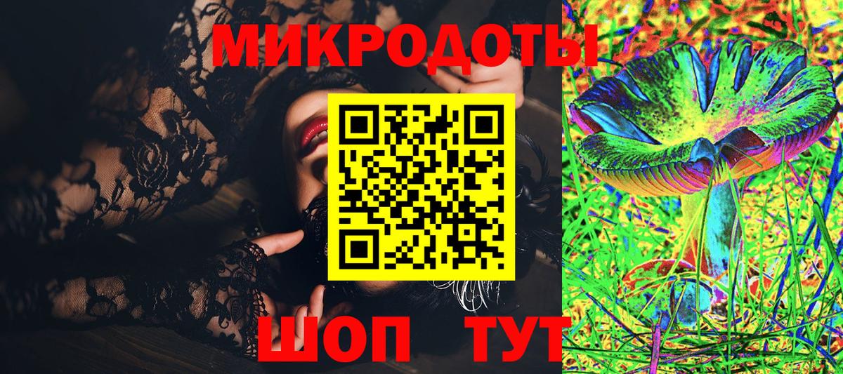 Псилоцибиновые грибы Psilocybine cubensis Елабуга