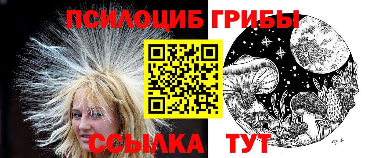Елабуга  Псилоцибиновые грибы мухоморы  Псилоцибиновые грибы прущие грибы  Вход с VPN 